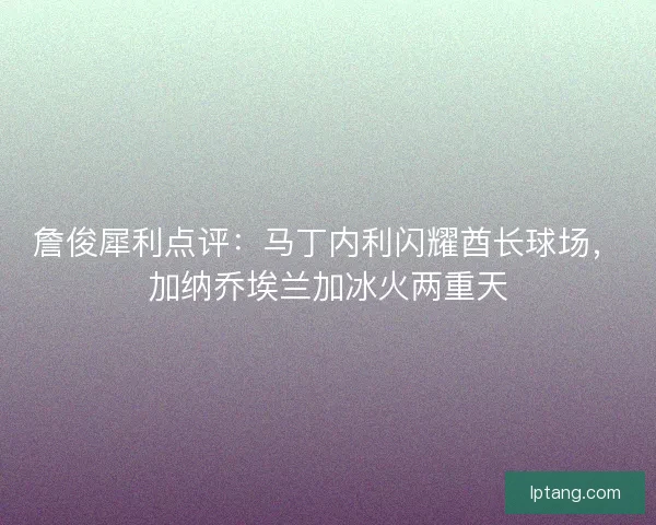 詹俊犀利点评：马丁内利闪耀酋长球场，加纳乔埃兰加冰火两重天