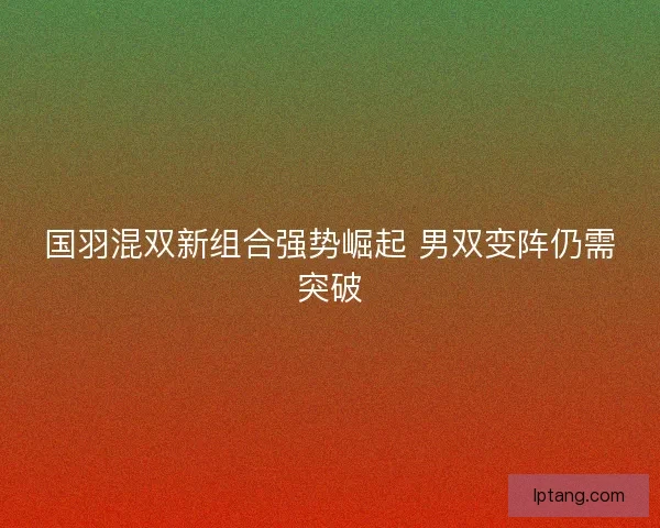 国羽混双新组合强势崛起 男双变阵仍需突破